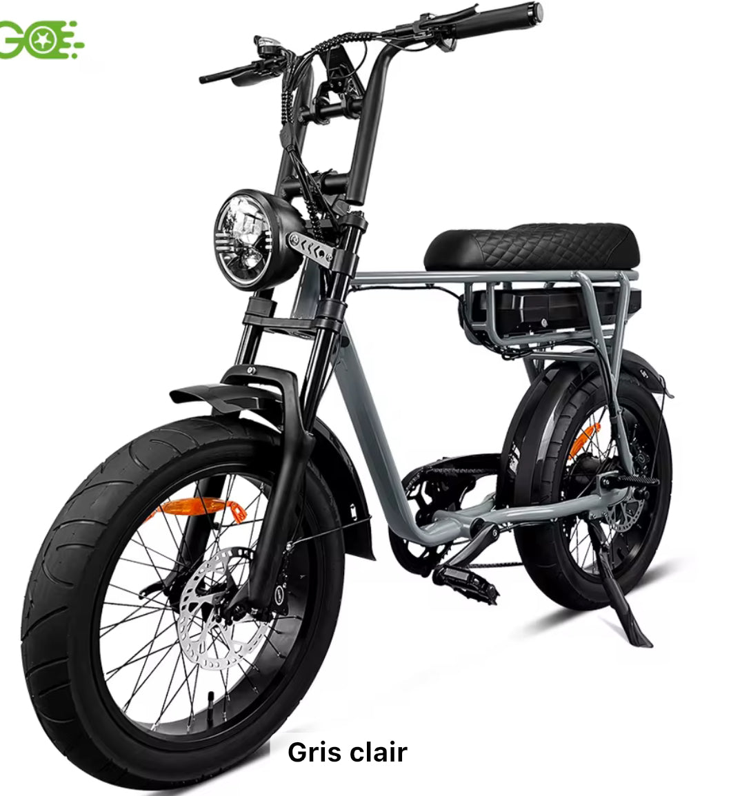 Fat Bike électrique 750W