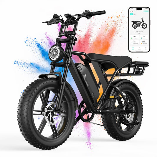 Electric Fat Bike