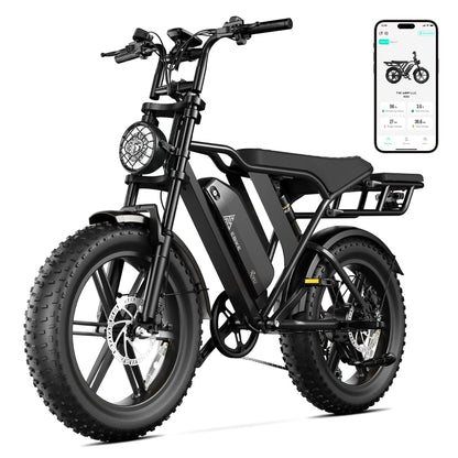 Electric Fat Bike