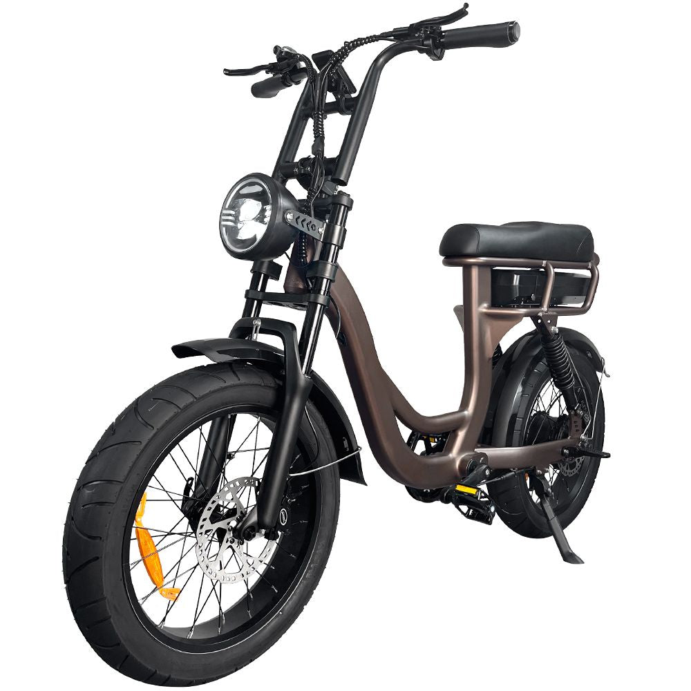 Fat bike EB8
